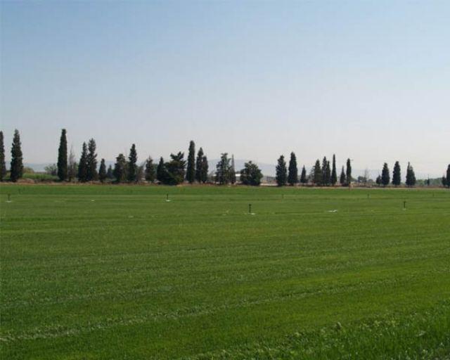 Hellasod with new turf in football pitches in Serbia!